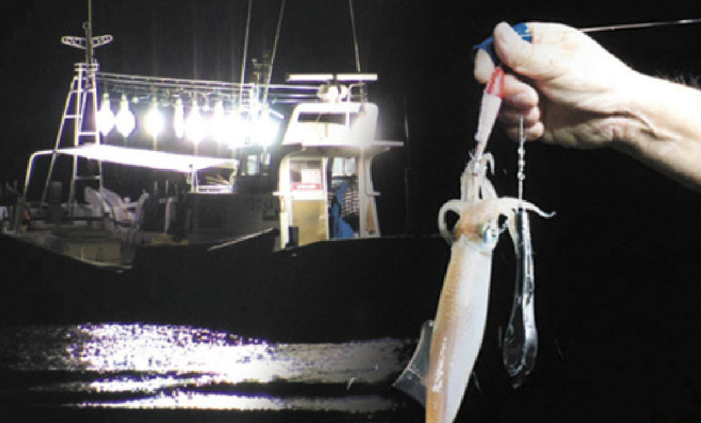 Primary Direct ブランドページ