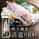 《送料無料》【呼子】剣先イカ活き造り<約180g>8杯セット