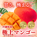 【送料無料】★7月限定受付★ 沖縄県産「極上マンゴー」