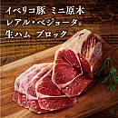 【送料無料】イベリコ豚 ミニ原木「レアル・ベジョータ」生ハムブロック(化粧箱入り)