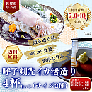 <送料無料>【新物】呼子剣先イカ活造り4杯セット(サイズ2種・各2杯)