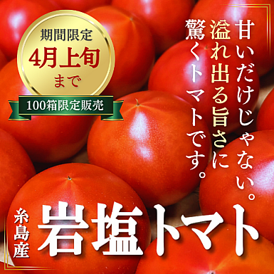 【送料無料】★4月までの限定受付★ 福岡県糸島産「岩塩トマト」