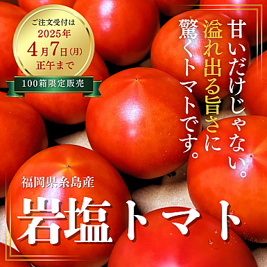 【送料無料】★4月7日正午まで受付★ 福岡県糸島産「岩塩トマト」