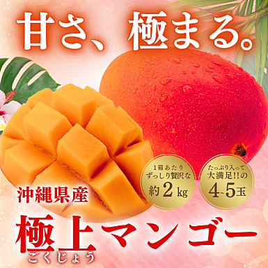 【送料無料】★7月限定受付★ 沖縄県産「極上マンゴー」