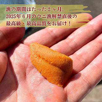 【送料無料|予約注文】2025年「利尻島直送エゾバフンウニ 100g」　※漁解禁後指定日発送