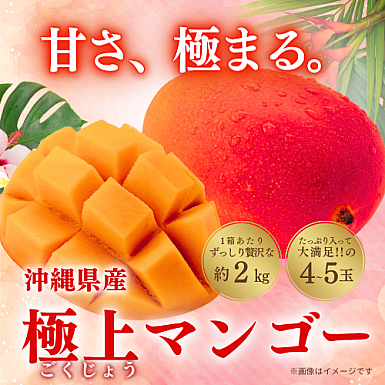 【送料無料】★7月限定受付★ 沖縄県産「極上マンゴー」