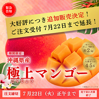 【送料無料】★7月限定受付★ 沖縄県産「極上マンゴー」