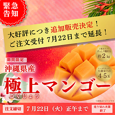 【送料無料】★7月限定受付★ 沖縄県産「極上マンゴー」