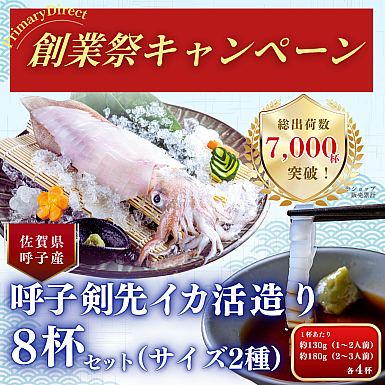 ★創業祭2025★【新物】呼子剣先イカ活造り8杯セット(サイズ2種・各4杯)
