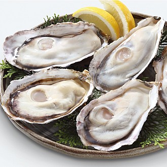 ★創業祭2025★生食用 殻付牡蠣「スマートオイスターフレッシュ」3袋セット(Mサイズ)