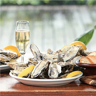 ★創業祭2025★生食用 殻付牡蠣「スマートオイスターフレッシュ」6袋セット(Mサイズ)